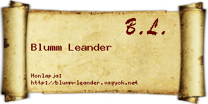 Blumm Leander névjegykártya